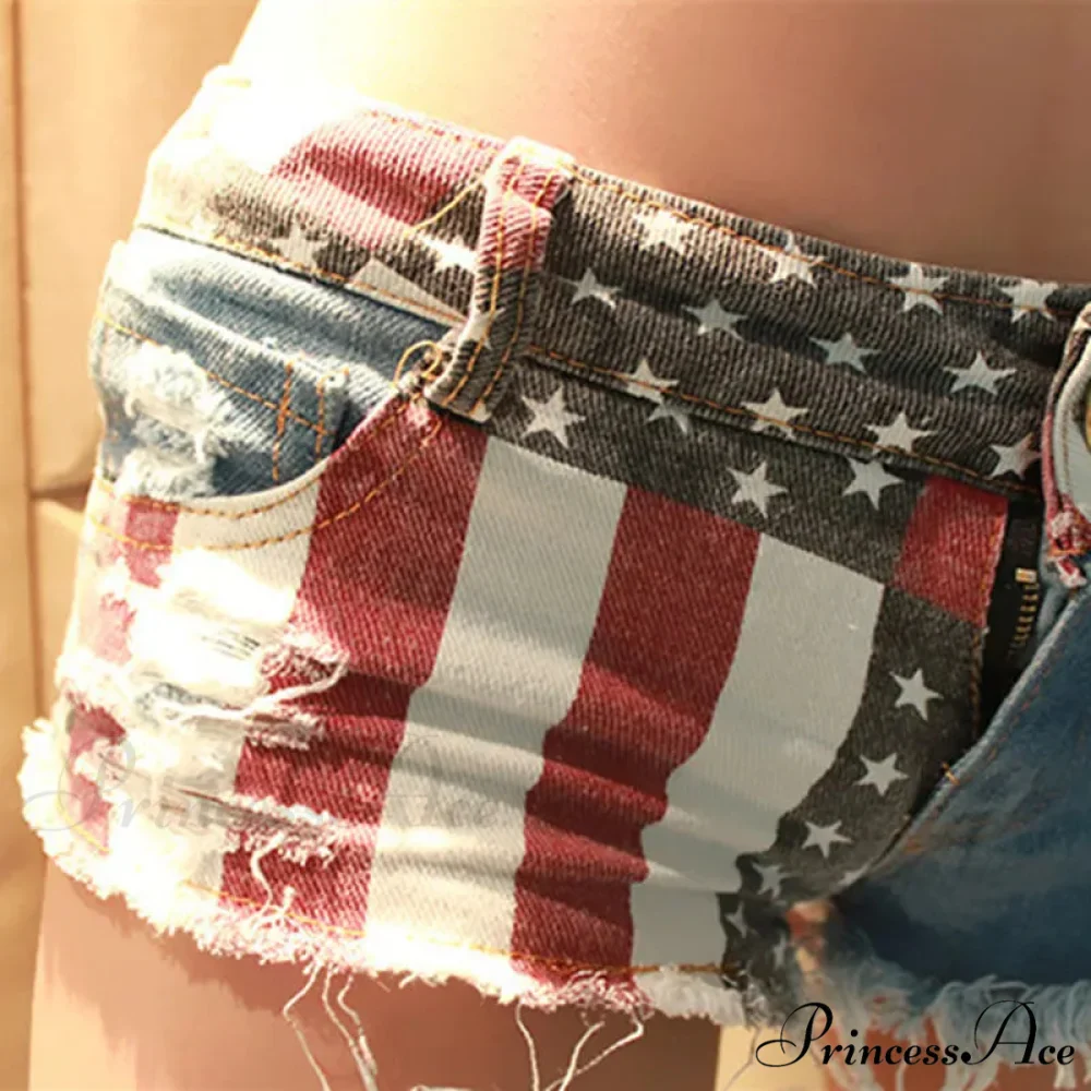 American Flag Printed Pole Dance Brief - Image 4