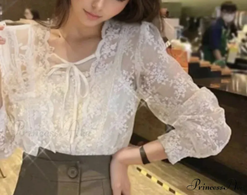 Antique Lace Puff Extended Sleeve Crochet Blouse - Image 3