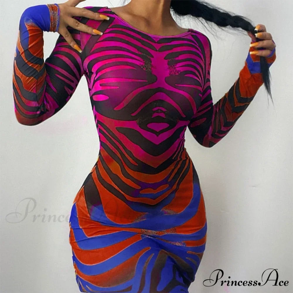 Long Sleeve Printed Mesh See Through Bodycon Dress - Image 3