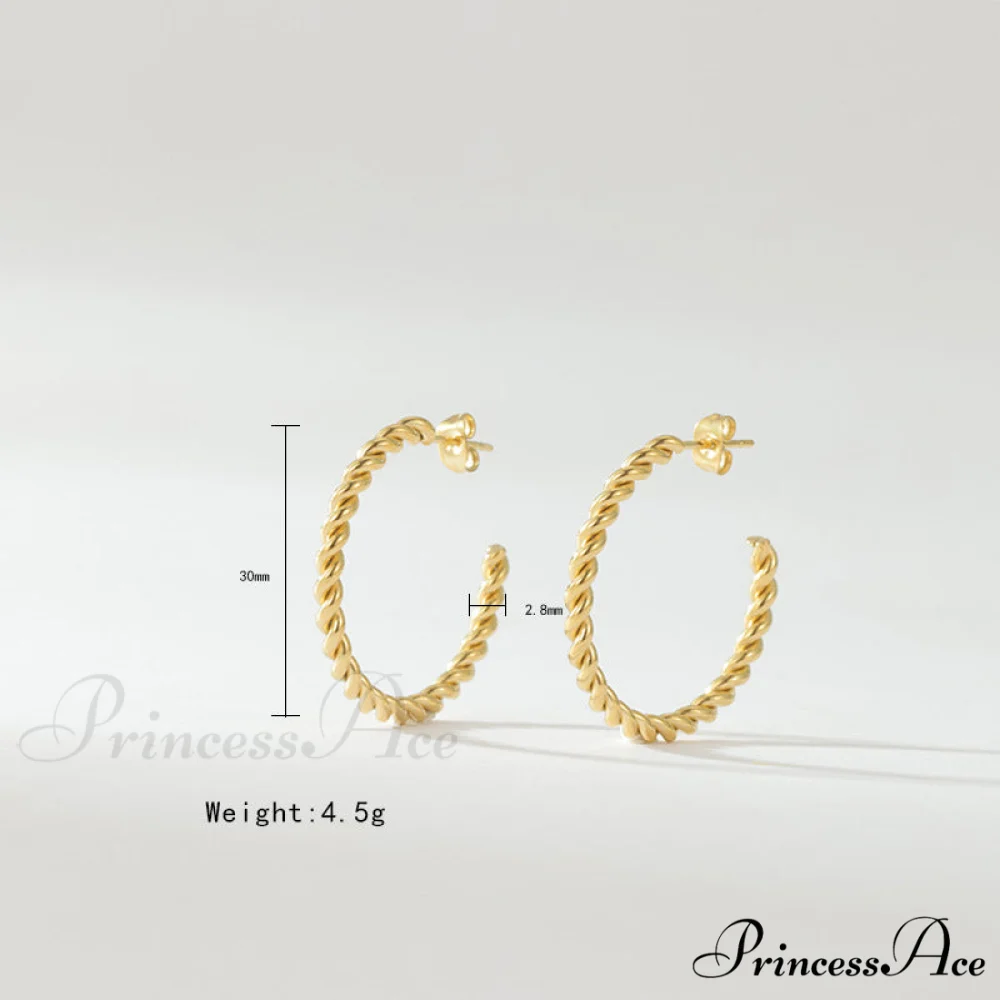 Big Hoop Twist Shape Stud Earrings - Image 5