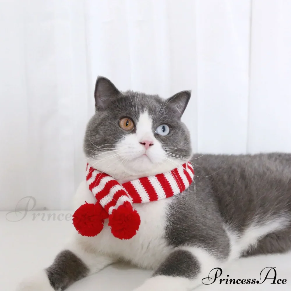 Cat Dog Knitted Wool Striped Christmas Scarf - Image 21