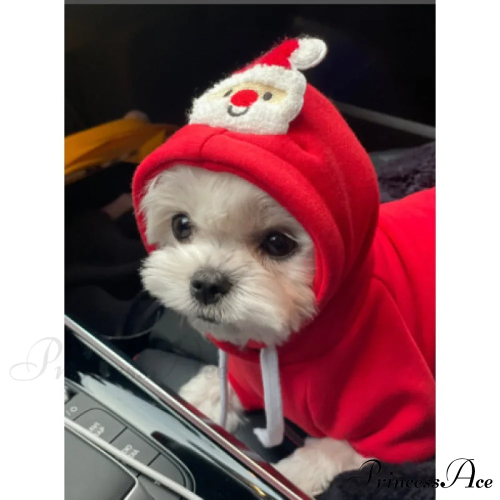Pet Dog Winter Autumn Drawstring Hoodie - Image 4