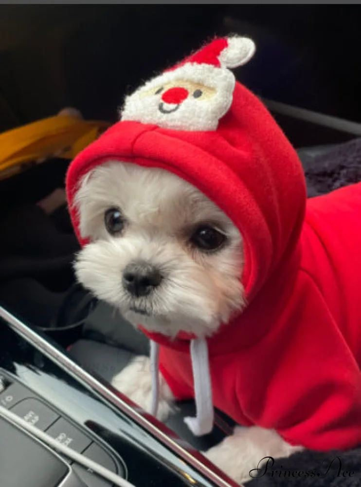 Pet Dog Winter Autumn Drawstring Hoodie - Image 7