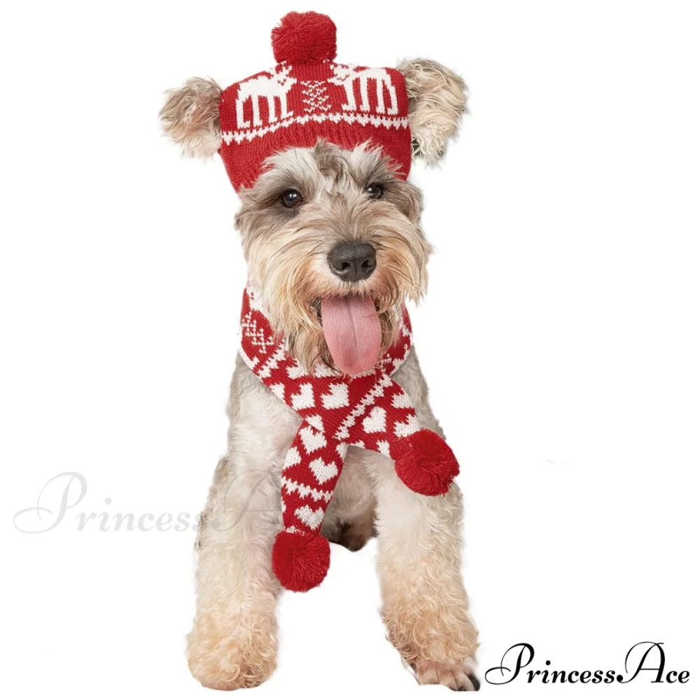 Pet Cat Dog Knitting Scarf Hat Set - Image 2