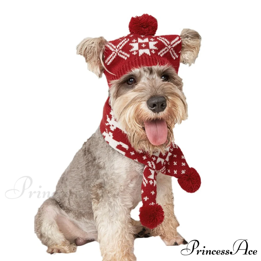 Pet Cat Dog Knitting Scarf Hat Set - Image 4