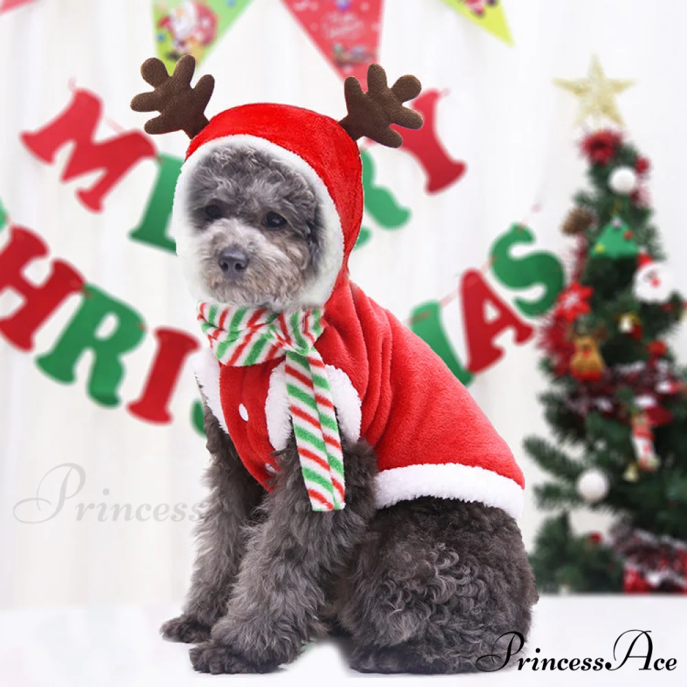 Christmas Dog's Funny Clothes & Sweater - Image 10