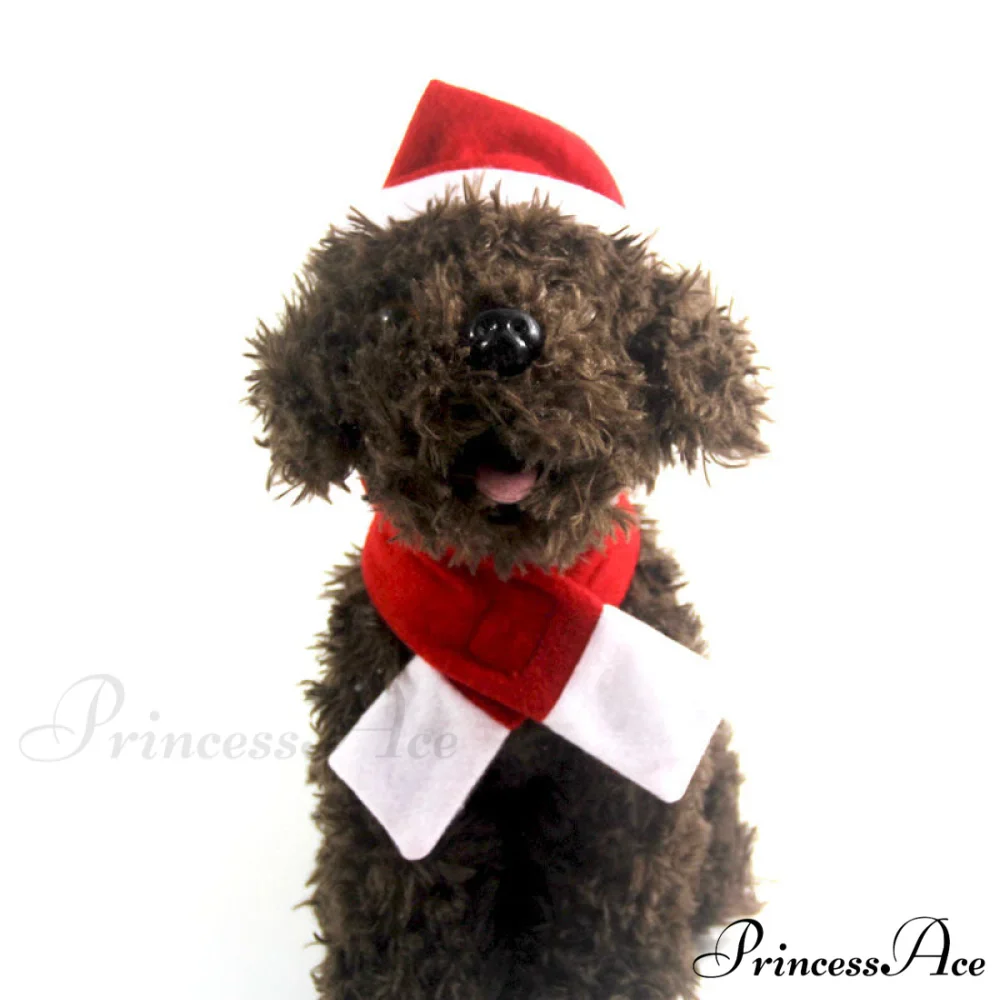 Pet Dog One-sided Velvet Scarf Hat Kit - Image 2