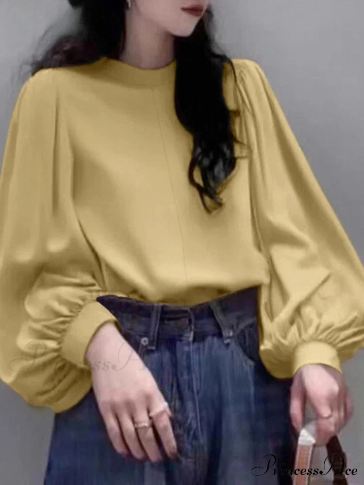 Net Lantern Sleeve Top Spring Tunic Top - Image 2