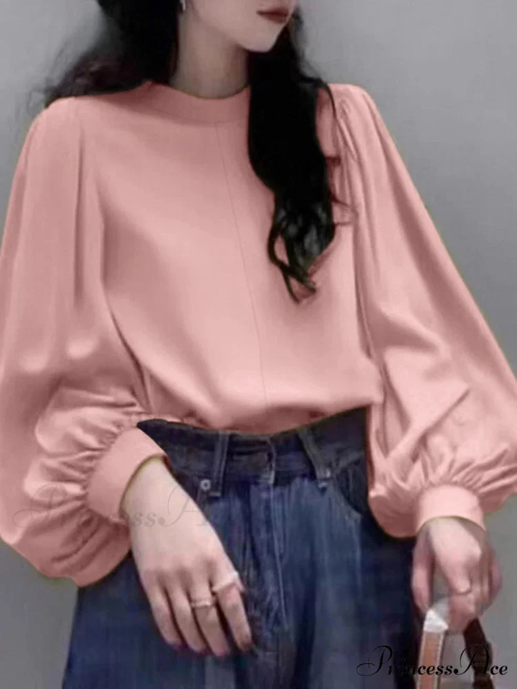Net Lantern Sleeve Top Spring Tunic Top - Image 3