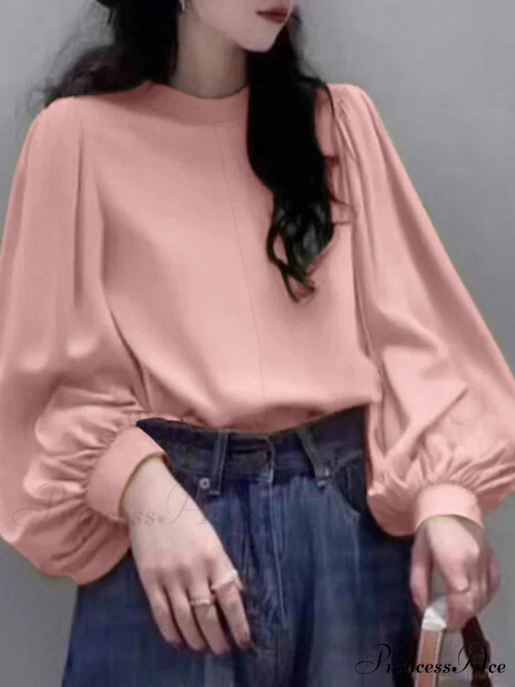 Net Lantern Sleeve Top Spring Tunic Top - Image 4