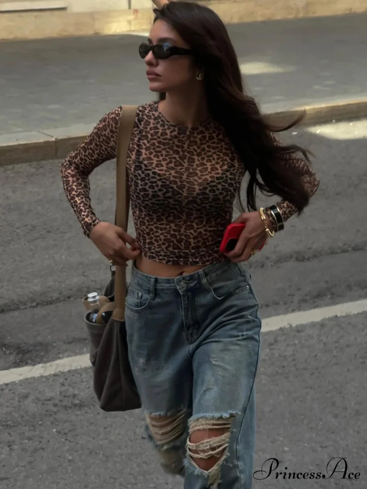 Seductive Extended Sleeve Cheetah Patterned Mesh Body-Hugging Knit Top - Image 5