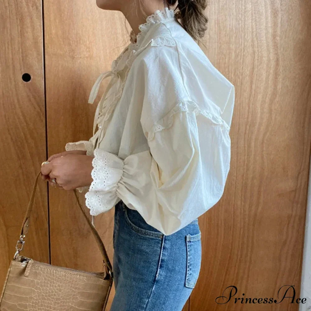 Spring Free Lantern Sleeve Classic Blouse - Image 4