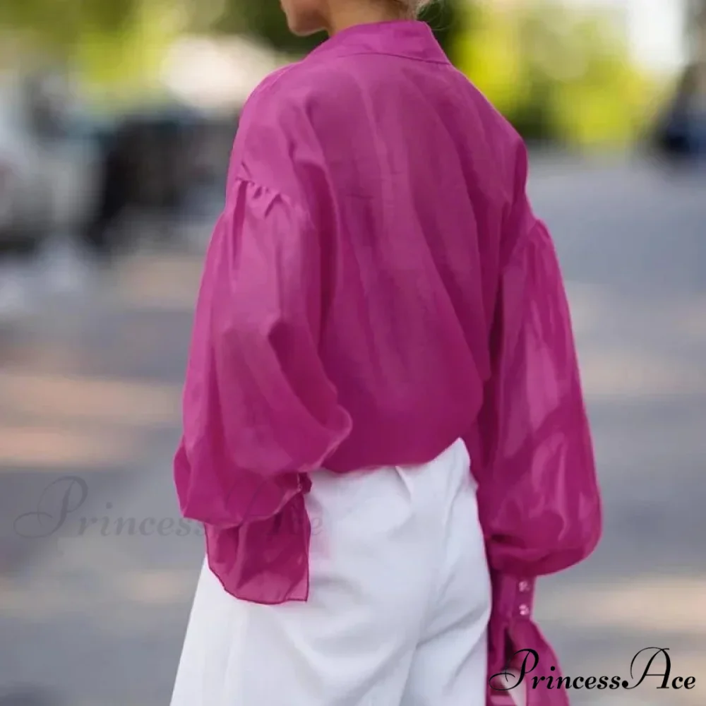 Spring Workplace Informal Blouse - Image 6