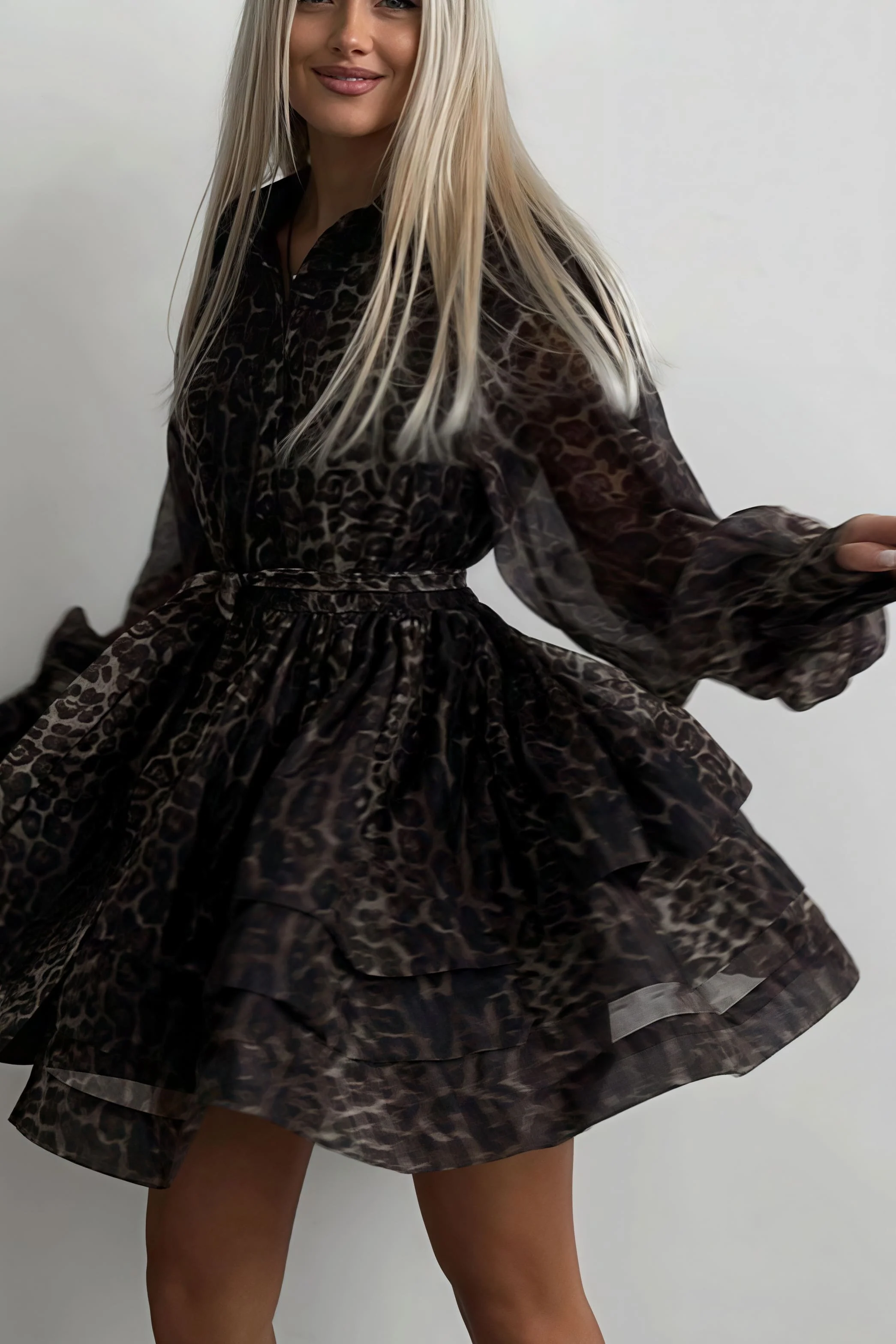 Chiffon Leopard Print Long Sleeve Mini Dress - Image 2