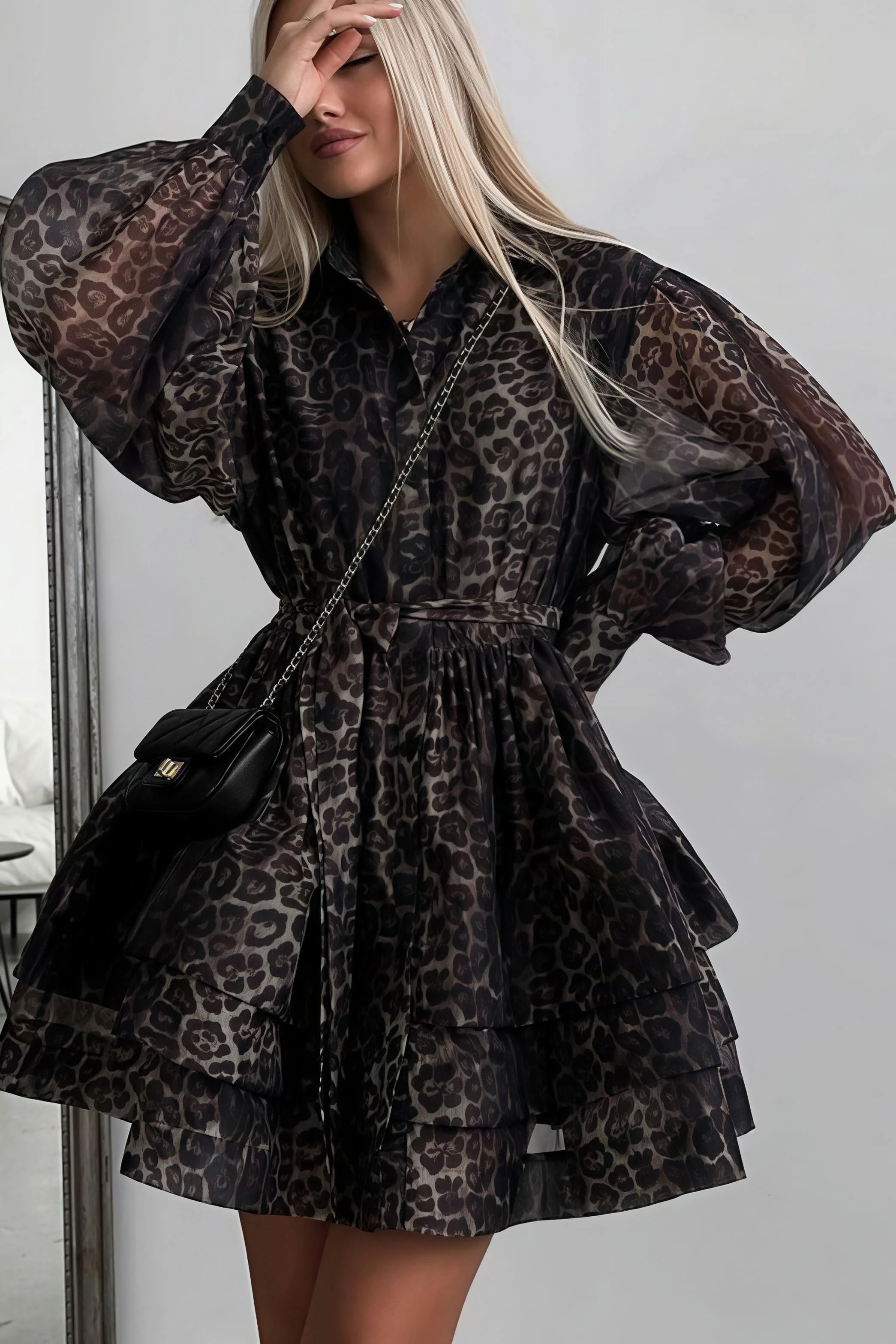 Chiffon Leopard Print Long Sleeve Mini Dress - Image 3