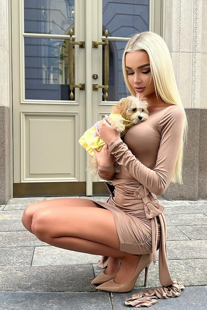 Crew Neck Long Sleeve Bow Tie Ruched Mini Dress - Image 16