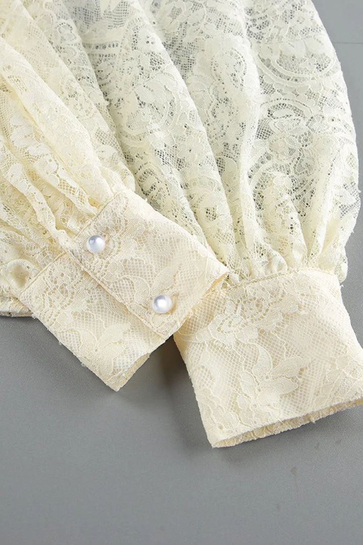 Elegant Tie Sheer Lace Long Sleeve Blouse - Image 10
