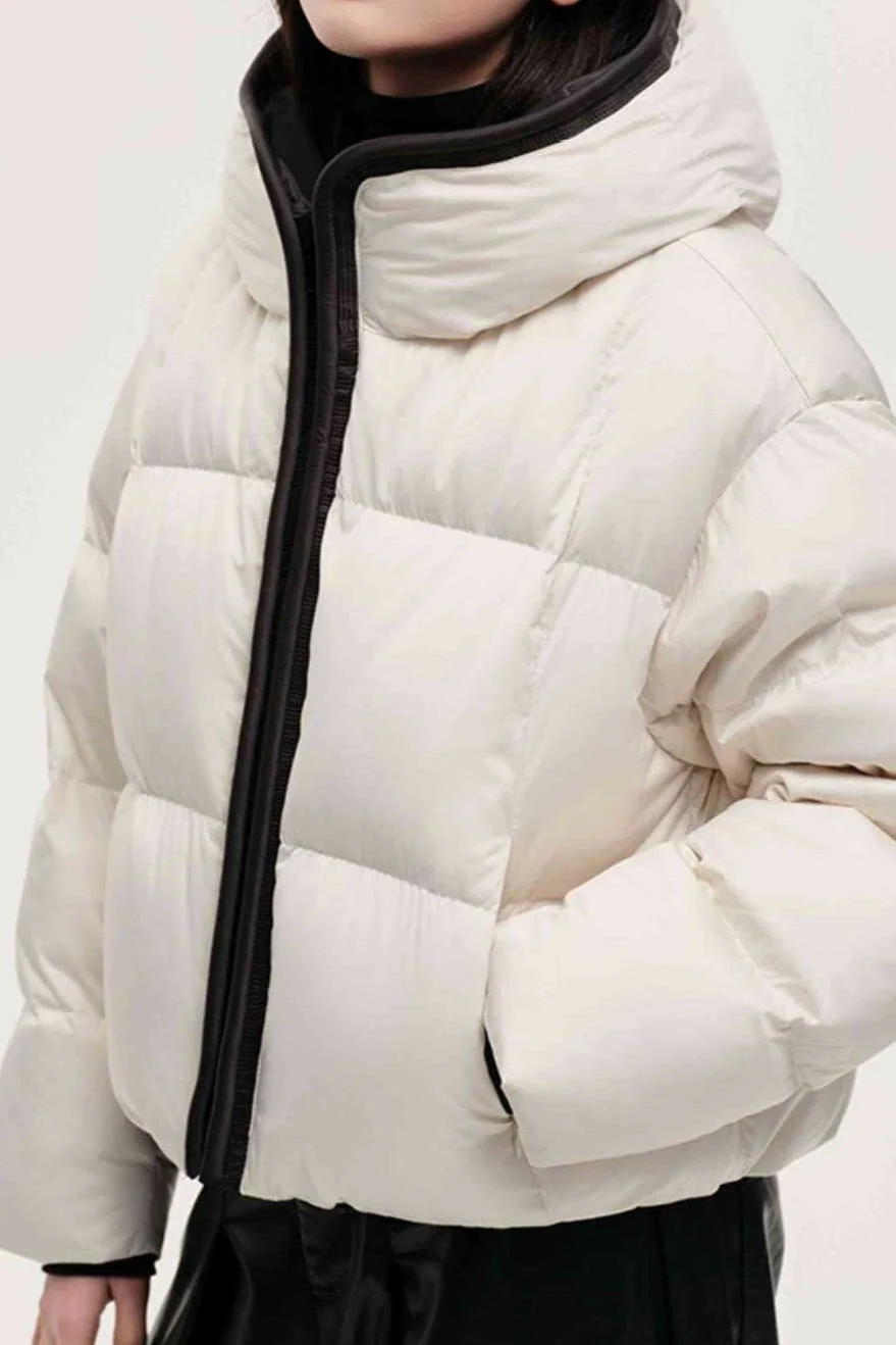 Cozy Hooded Insulated Puffer Jacket - Image 7