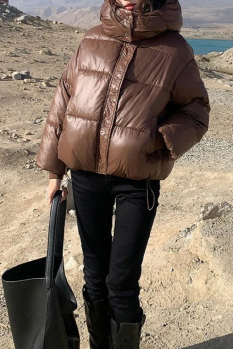 Cropped Plush Lined Oversized Puffer Jacket - Image 6