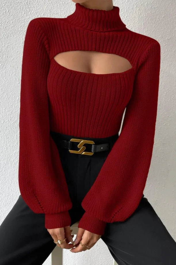 Sexy Hollow Out Turtleneck Sweater - Image 8