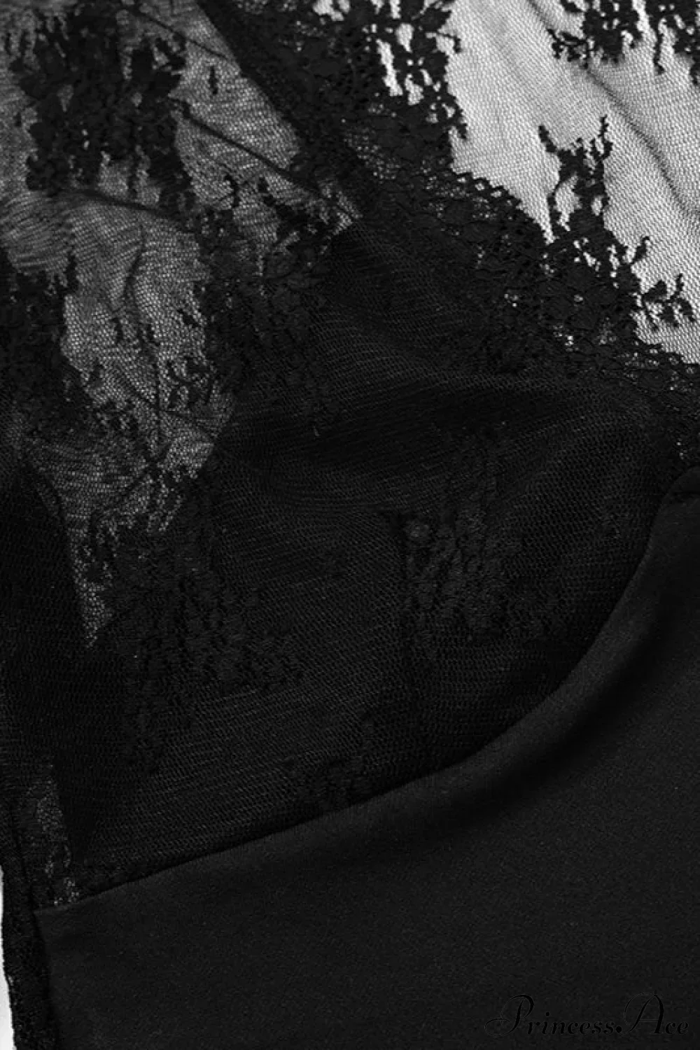 Sheer Lace Mesh Long Sleeve Crop Top - Image 3