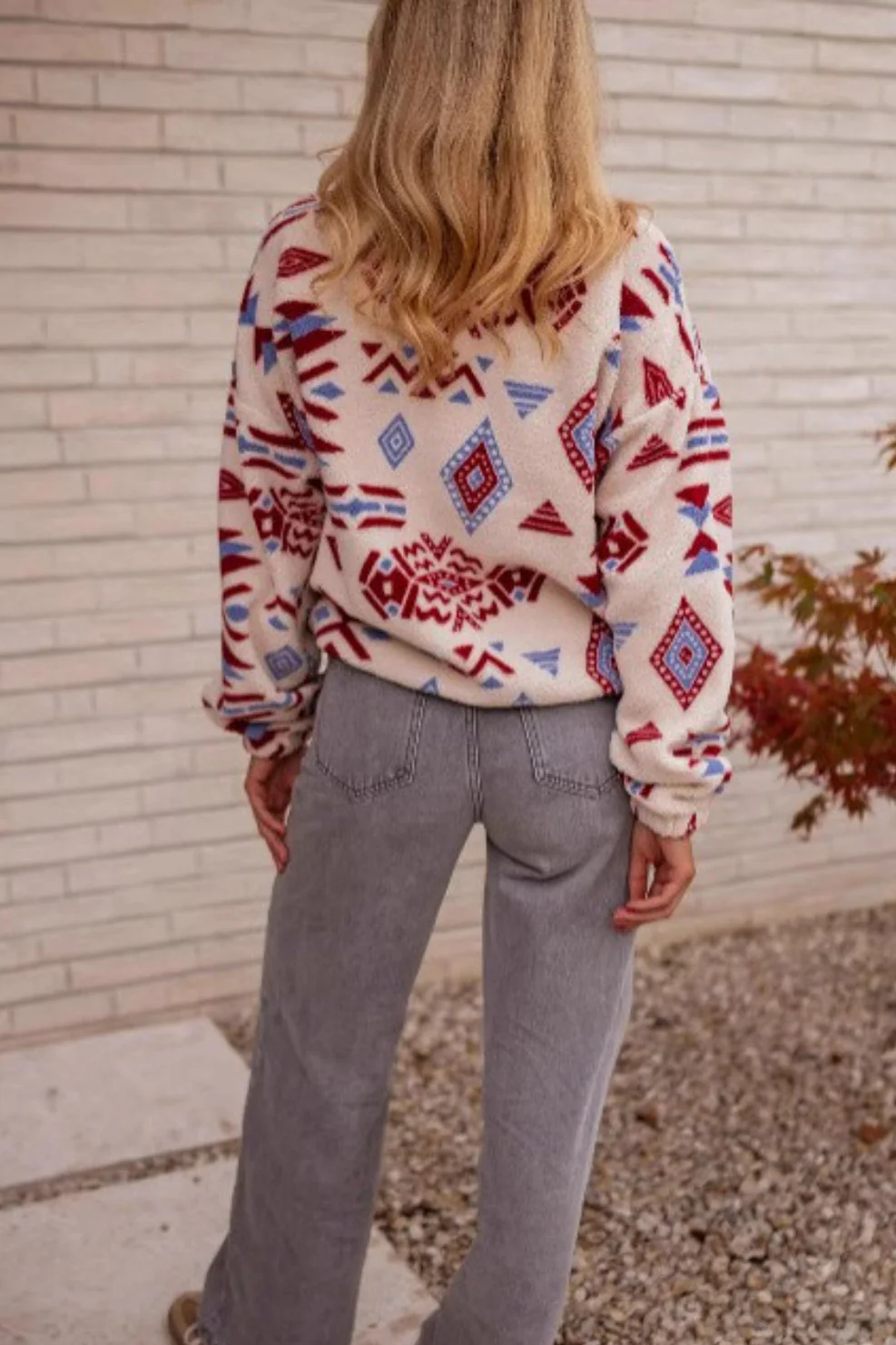 Turtle Colorblock Print Thick Sweatshirt - Image 3