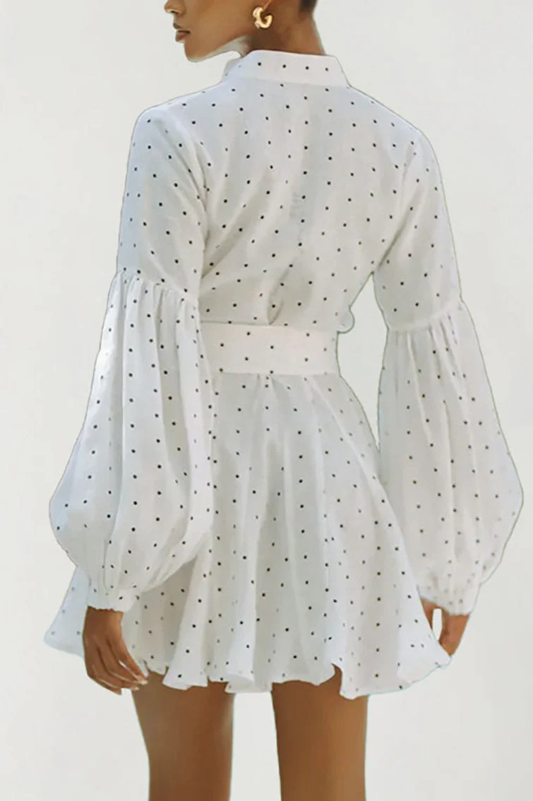 Polka Dot Lantern Sleeve Tie Mini Dress - Image 3