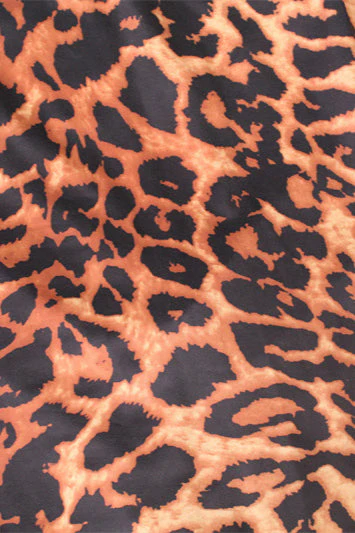 Leopard Print Ruched Round Neck Maxi Dress - Image 5
