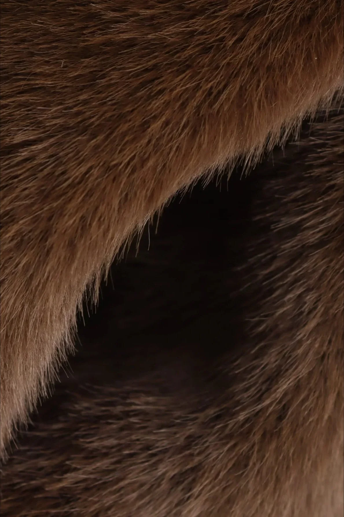 High Street Faux Fur Collar Coat - Image 6
