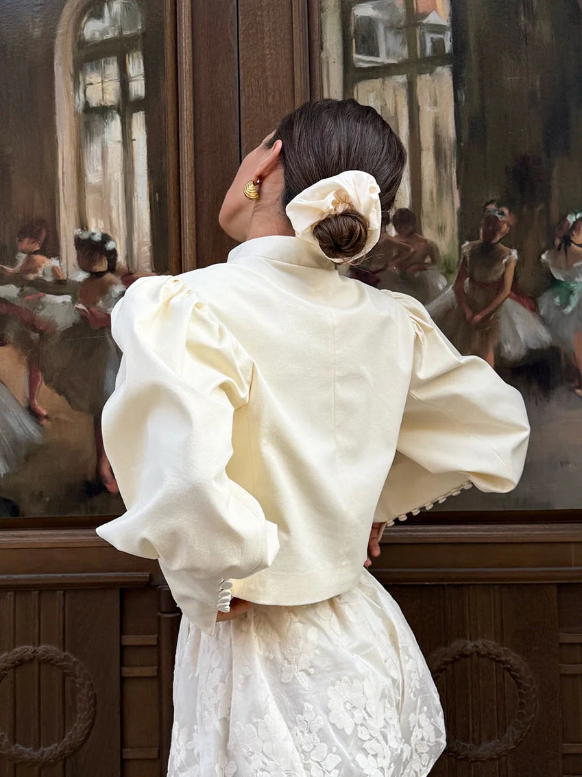 Stand Collar Puff Sleeve Blouse - Image 4
