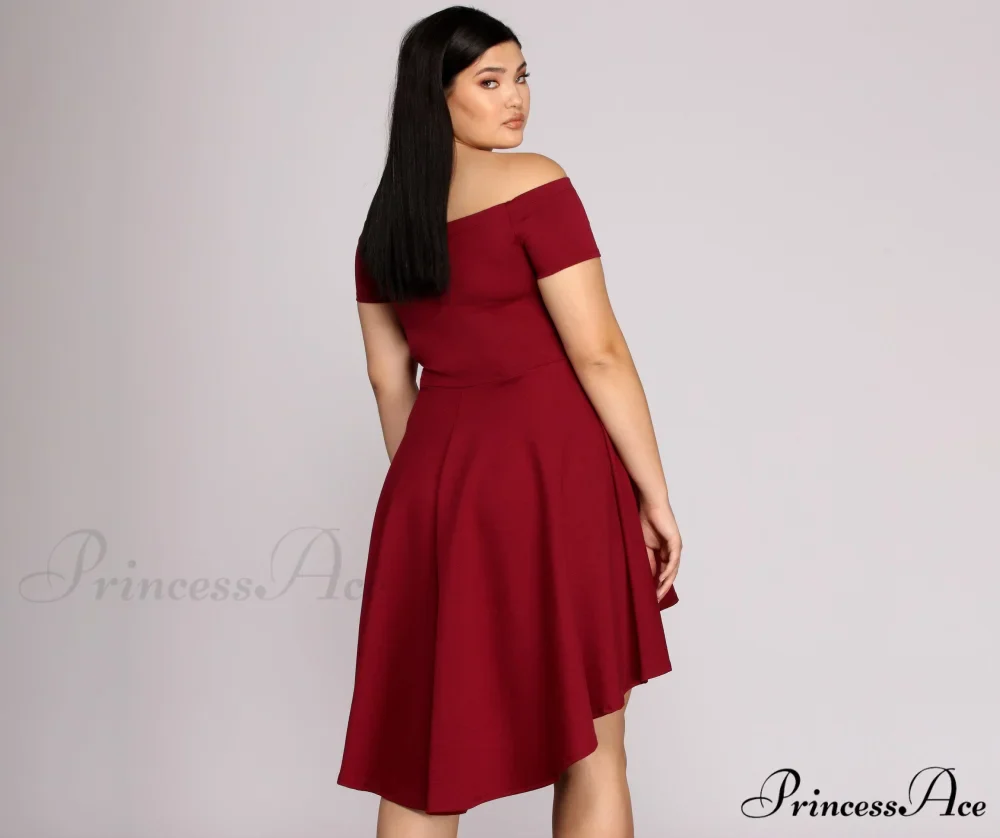 Plus All The Charming Rage Skater Dress - Image 10