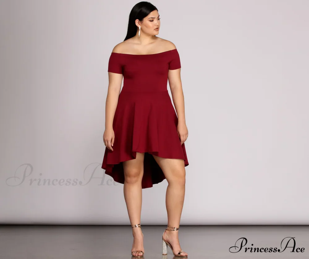 Plus All The Charming Rage Skater Dress - Image 12