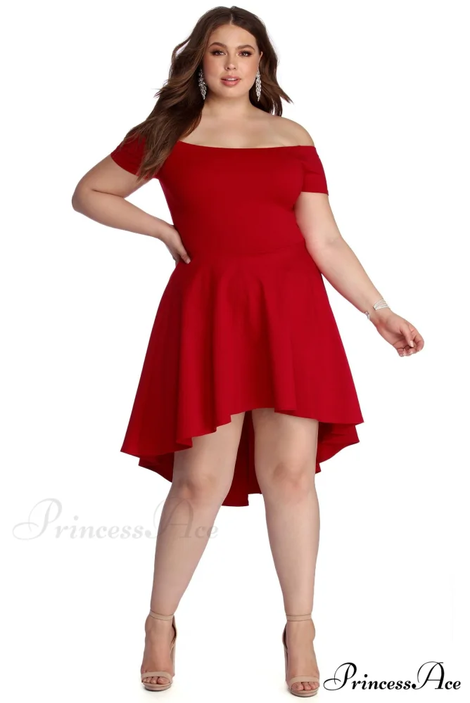 Plus All The Charming Rage Skater Dress - Image 4