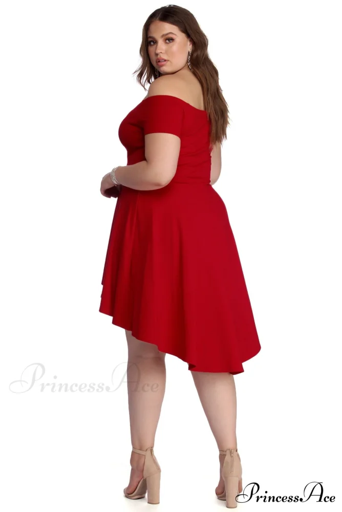 Plus All The Charming Rage Skater Dress - Image 6
