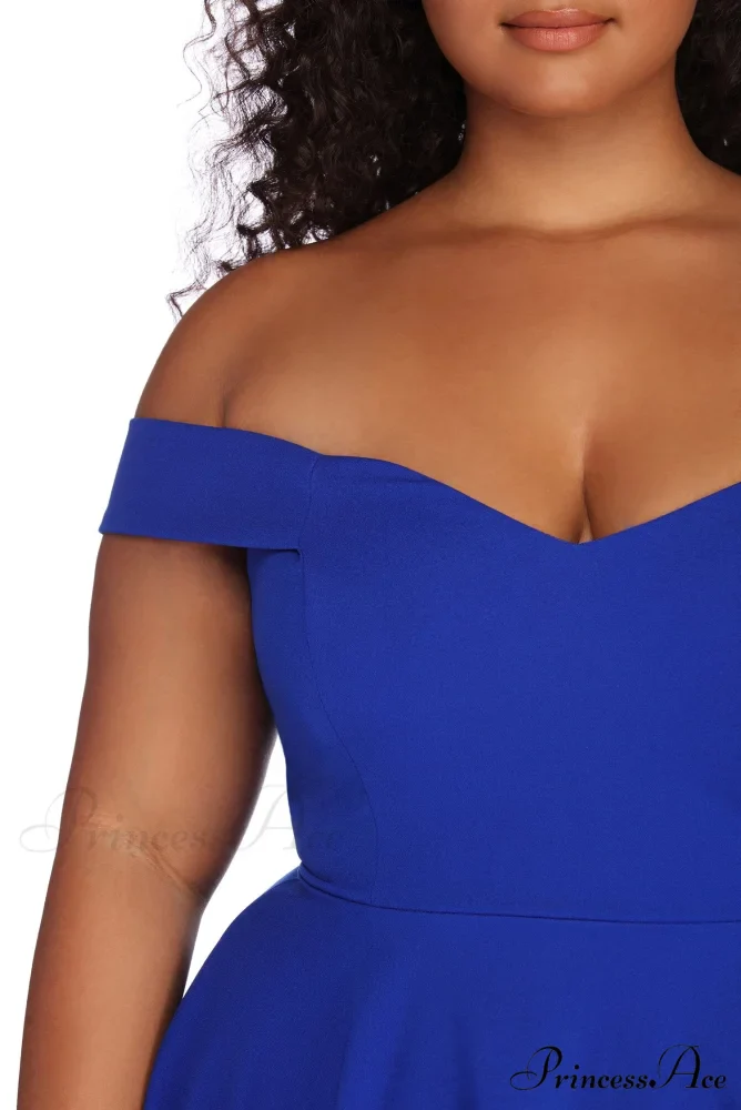 Plus Charming Stylish Sweetheart Skater Dress - Image 4