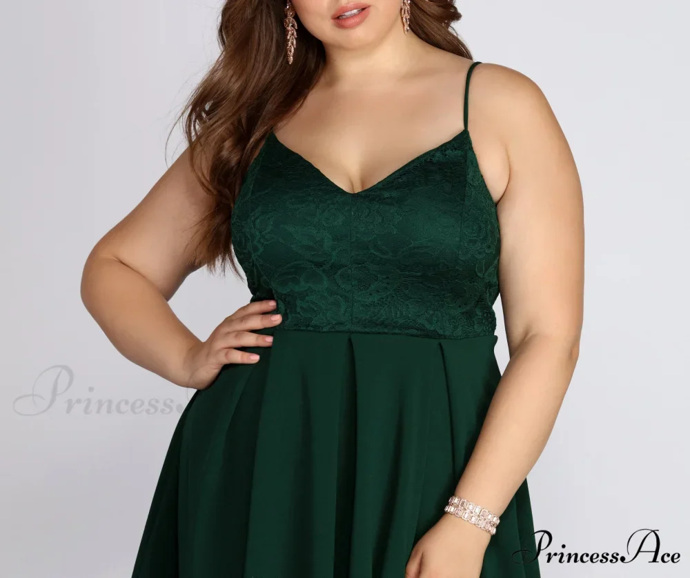 Plus Lace Stylish Appeal Skater Dress - Image 3