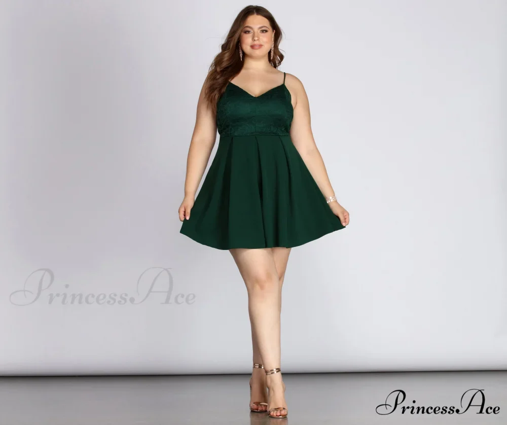 Plus Lace Stylish Appeal Skater Dress - Image 4