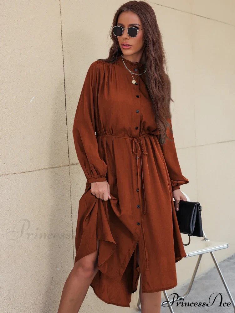 Slim Single-Breasted Shirt Dress with Temperament - Image 2