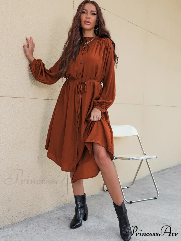 Slim Single-Breasted Shirt Dress with Temperament - Image 4