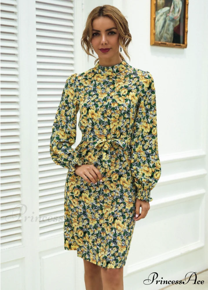 Floral Lace A-Line Skirt with Stand-Up Collar and Lantern Sleeves Dress - Image 9