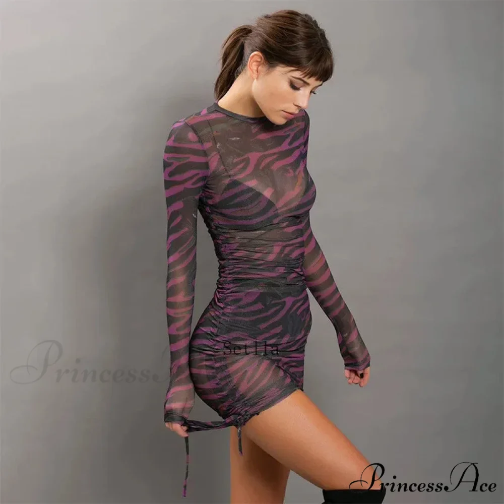 Print Mesh Drawstring Ruched Clubwear Mini Dress - Image 4