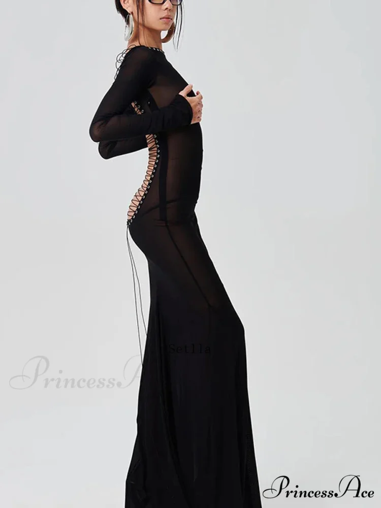 See Through Bodycon Sleeve Maxi Dress - Image 2