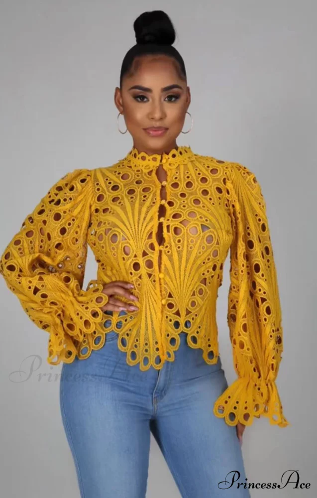Elegant Lace See Though Ruffles Lantern Blouse - Image 4