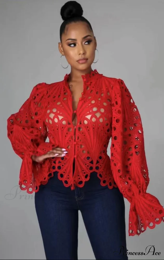 Elegant Lace See Though Ruffles Lantern Blouse - Image 5