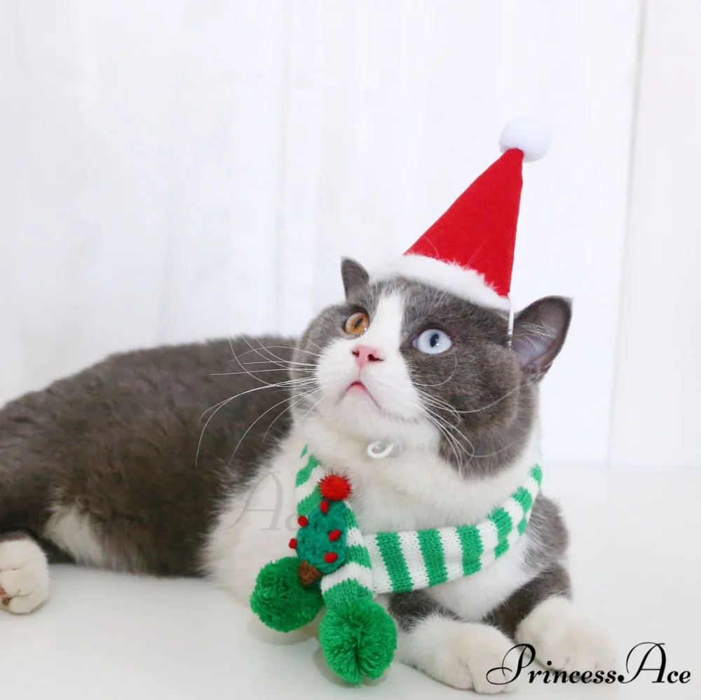 Cat Dog Knitted Wool Striped Christmas Scarf - Image 15