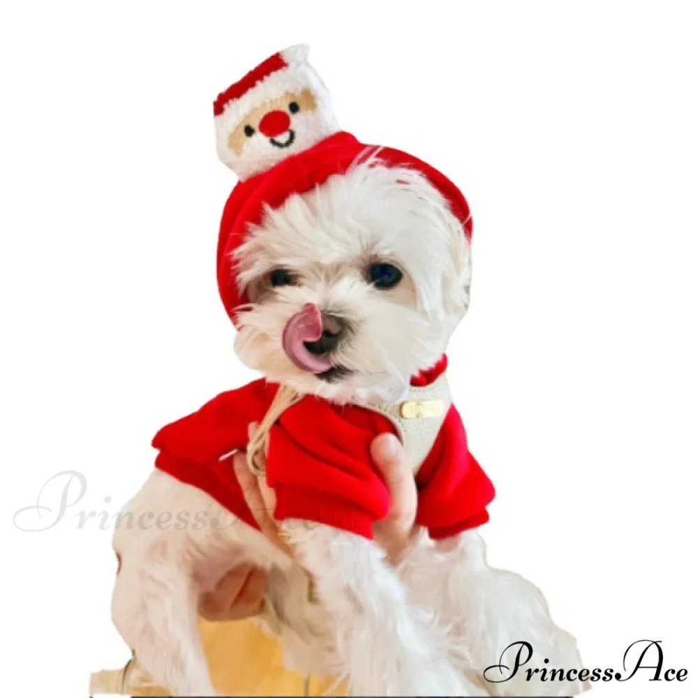 Pet Dog Winter Autumn Drawstring Hoodie - Image 5