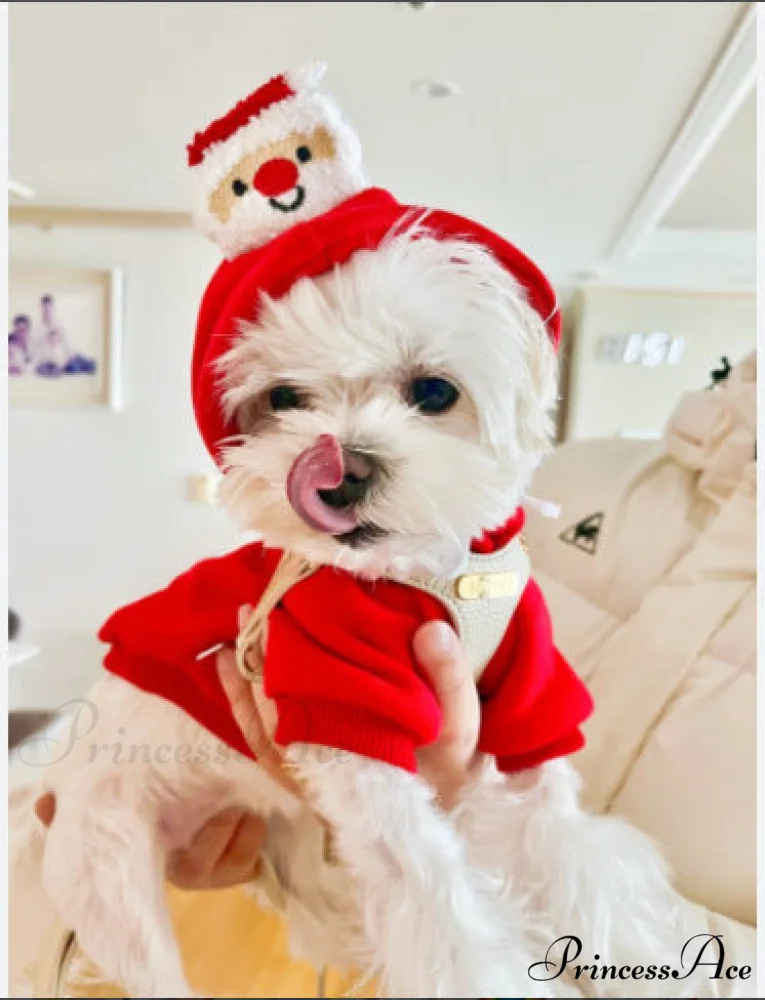 Pet Dog Winter Autumn Drawstring Hoodie - Image 6