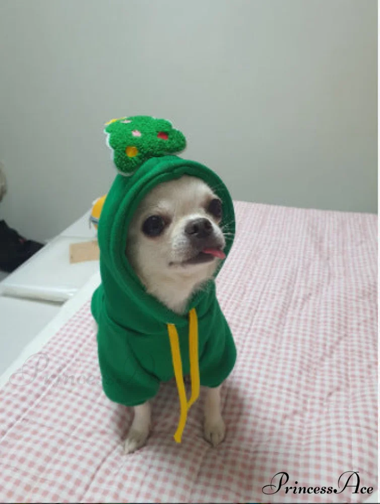Pet Dog Winter Autumn Drawstring Hoodie - Image 8