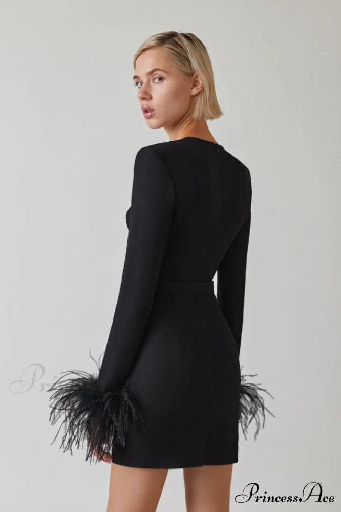 Feather Long Stylish Sleeve Bustier Dress - Image 11