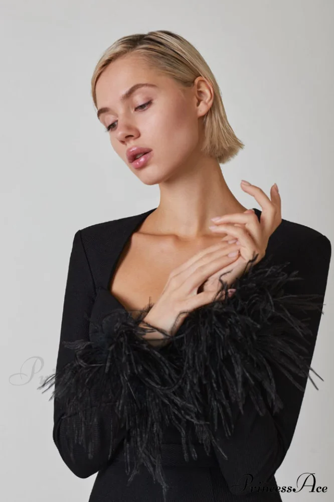 Feather Long Stylish Sleeve Bustier Dress - Image 12